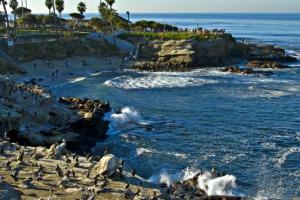 Was gibt’s in San Diego zu entdecken?