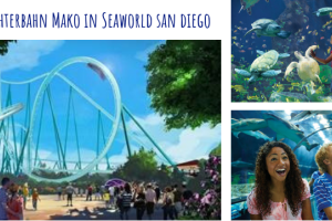 Bald in SeaWorld San Diego: Kalifornien's schnellste Achterbahn