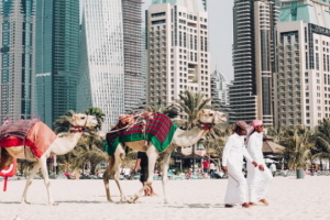 Wann fliegt man am besten nach Dubai?