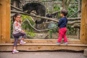 Two children standing in front of an animal enclosure at Chessington Zoo