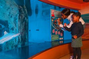 A mother and child wave to fish in a tank at SEA LIFE London