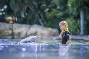 A young girl standing in shallow water in front of a dolphin. She is laughing and wearing a wetsuit