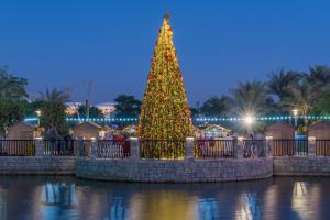 A giant lit up Christmas tree next to a river that is reflecting the light