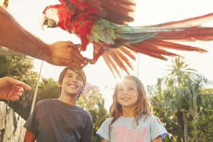 Two children being shown a brightly coloured parrot 