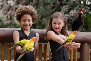 Two children in wetsuits holding multicoloured birds on their outstretched hands