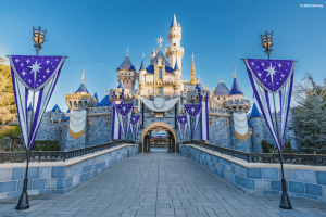 A pink and blue castle decorated with silver and blue banners and pendants