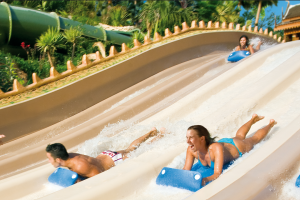 Naga Racer im Siam Park