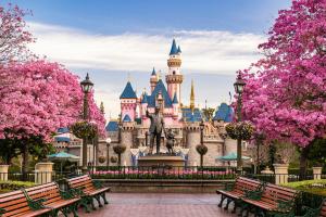 A pathway lined with pink-flowered trees leading to a statue of Walt Disney and Mickey Mouse in front of Sleeping Beauty Castle