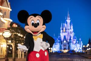 Disney After Hours - Walt Disney World Resort in Florida