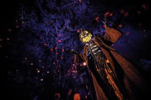 A scarecrow with a pumpkin head in front of dark trees