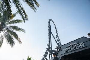 Blick auf den Fall des Jurassic World VelociCoaster vom Eingang der Attraktion aus