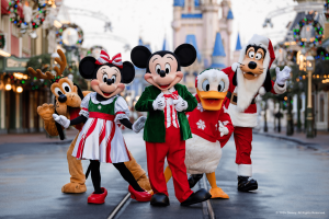 Road down to a pink and blue castle. There are christmas reefs and Mickey Mouse, Minnie Mouse, Donald Duck, Pluto and Goofy are stood in the middle.