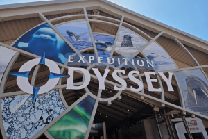Circular sign which says "Expedition Odyssey" with images of different animals in the background including a beluga whale, humpback whale and more!