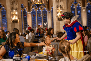Character Dining at Cinderella's Royal Table