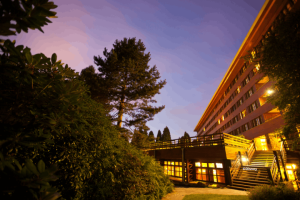 Disney Sequoia Lodge