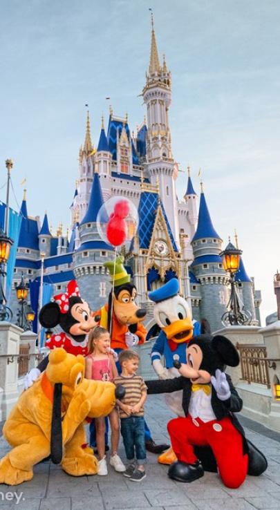 Disney 15 