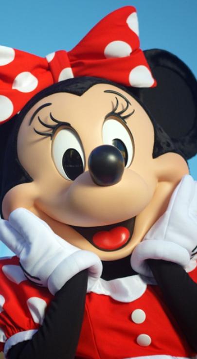 dlp prints