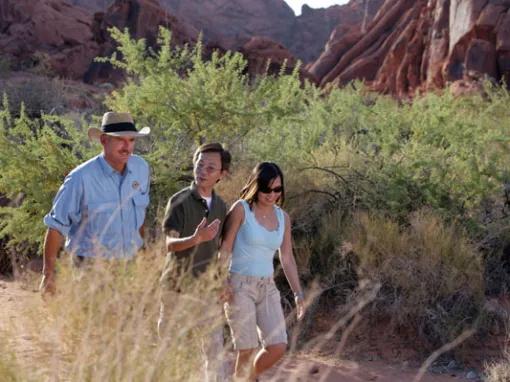 Red Rock Canyon Classic 4x4 Tour