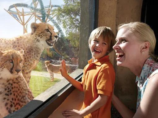 SeaWorld Parks & Entertainment®