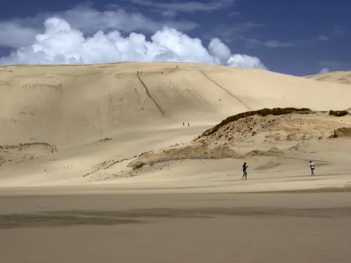 Cape Reinga Fly/Drive