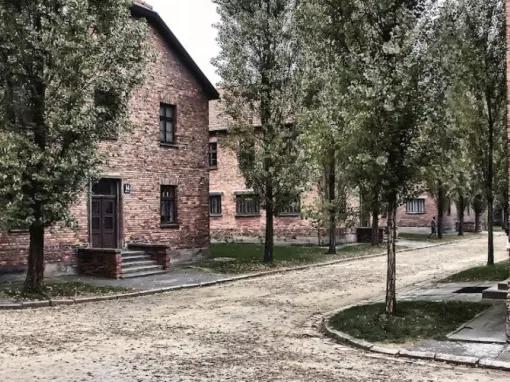 Auschwitz-Birkenau Guided Tour with Private Transport