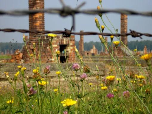 Auschwitz-Birkenau Memorial and Museum Tour