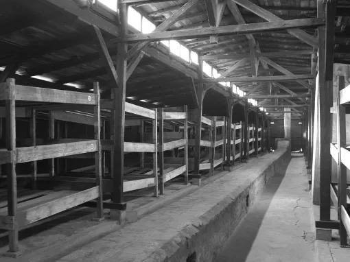 Auschwitz-Birkenau Memorial and Museum Tour