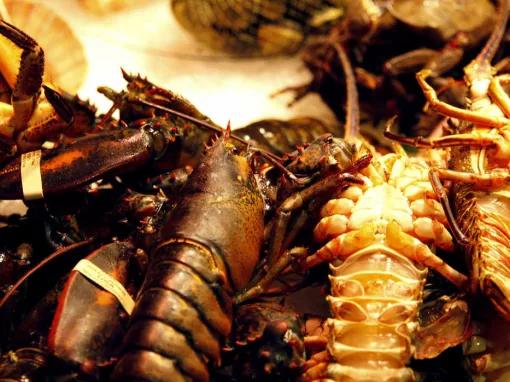 Barcelona Evening Tapas Walking Tour