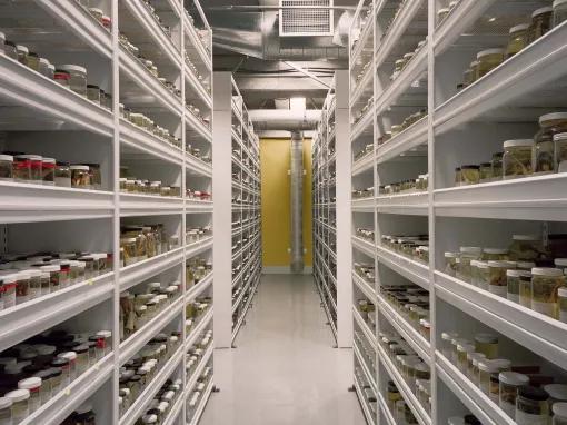 California Academy of Sciences - Behind-the-Scenes Academy Tour