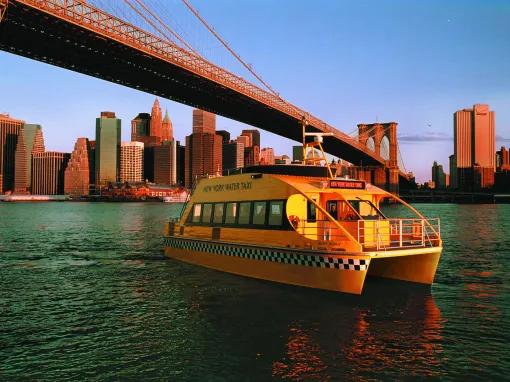 Statue of Liberty Express Downtown Cruise