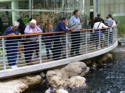 California Academy of Sciences Skip-the-Line General Admission Ticket