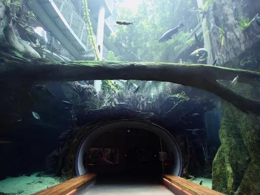 California Academy of Sciences Skip-the-Line General Admission Ticket