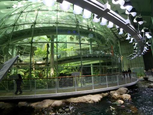California Academy of Sciences - Behind-the-Scenes Aquarium Tour