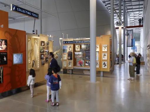 California Academy of Sciences Skip-the-Line General Admission Ticket