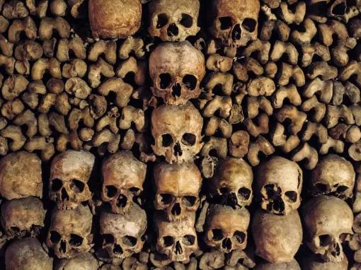 Skip the Line Paris Catacombs Tour with Special Access