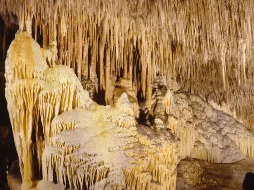 Caves of Drach Half-day Tour