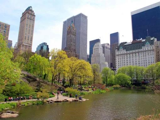 Central Park Pedicab Tour