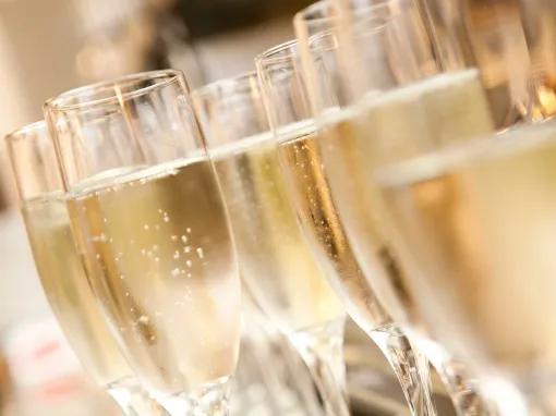 Champagne San Diego Brunch Cruise