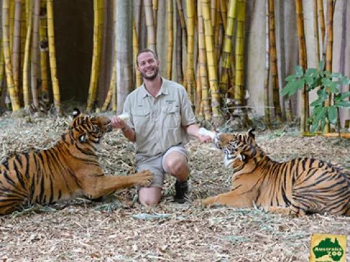 Croc Express - Australia Zoo from Brisbane