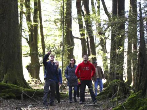 Dart River Wilderness Safari