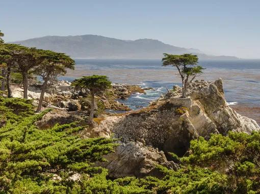 Day Trip to Monterey and Carmel 