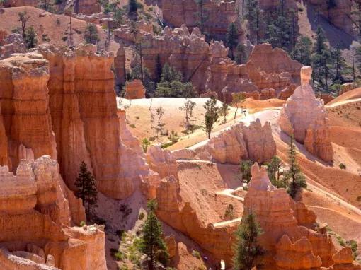 Bryce Canyon National Park Day Trip