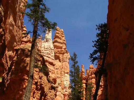 Bryce Canyon National Park Day Trip