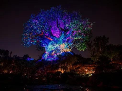 Disney After Hours - Unique Nighttime Experiences at Walt Disney World