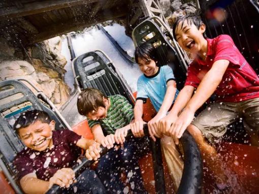 3 Day Disneyland California Hopper Ticket