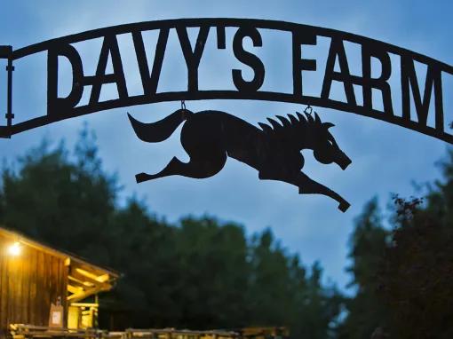 Disney's Davy Crockett Ranch