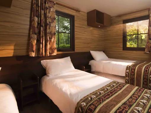 Adapted Premium Plus Cabin