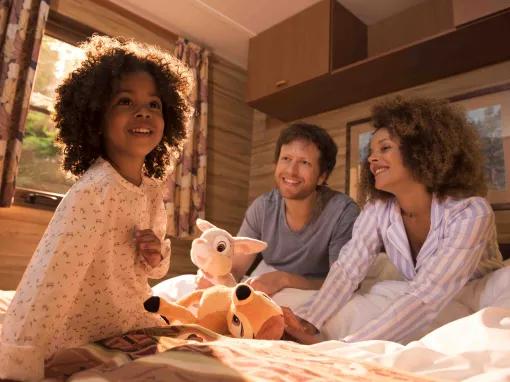 Adapted Premium Plus Cabin