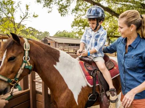 The Cabins at Disney's Fort Wilderness Resort 