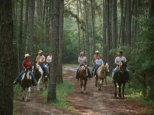 The Cabins at Disney's Fort Wilderness Resort 